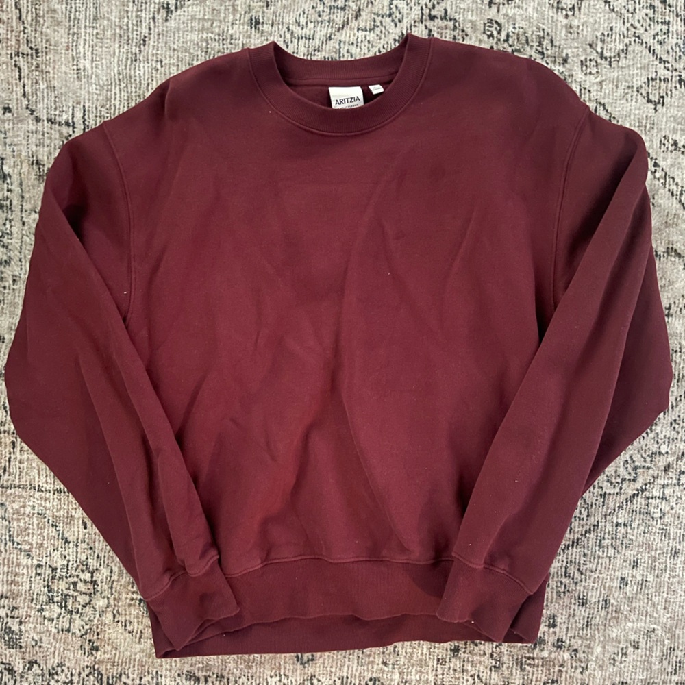 Aritzia Perfect Sweatfleece Crewneck